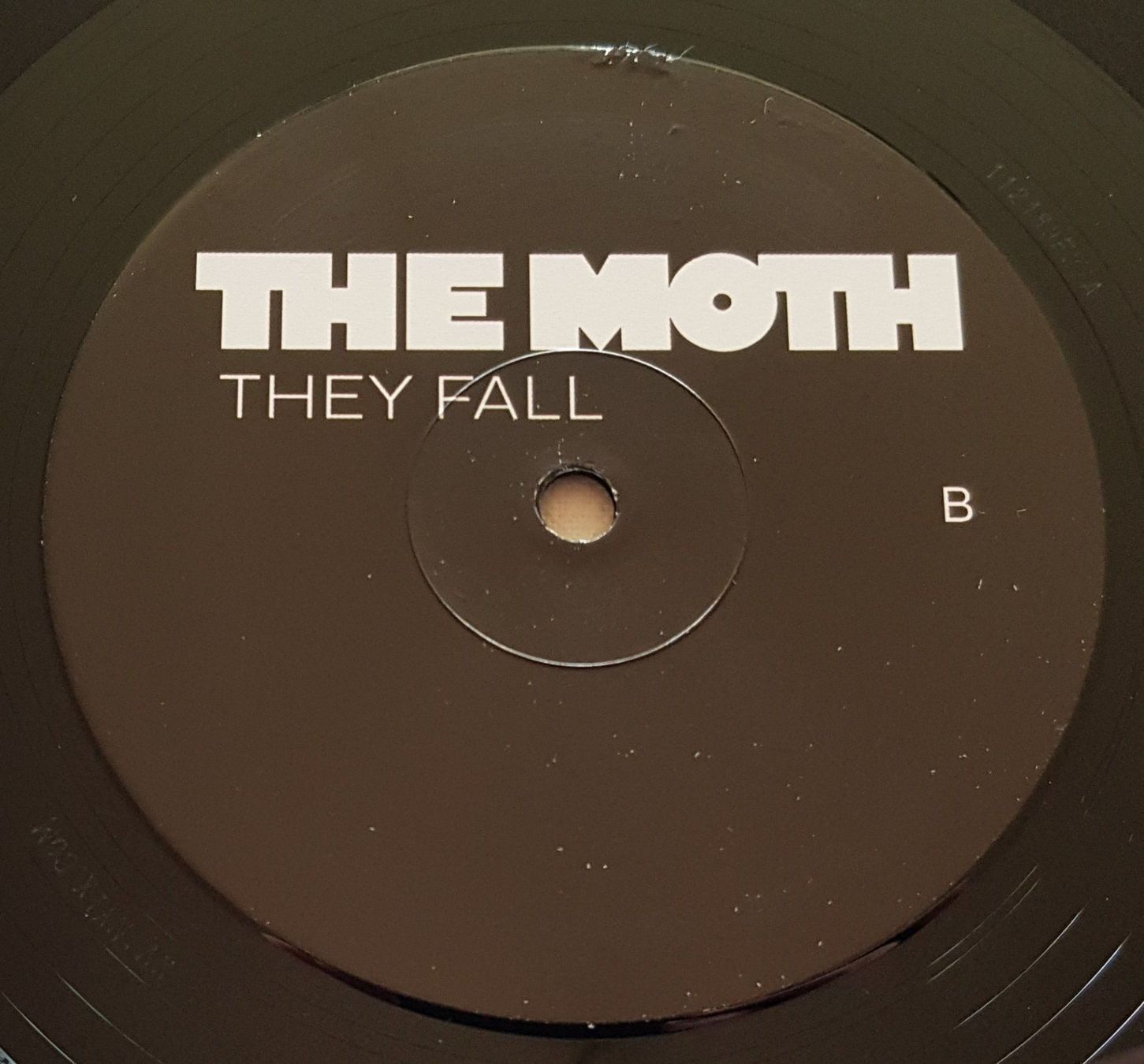 Dischi in vinile: The Moth - They Fall - LP - 2013 - First Press - SIGNED – Usato da Uster venduto da Zardodel 5