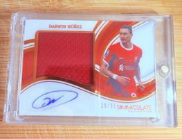 Darwin Nunez Panini Immaculate Autograph Patch 29/95