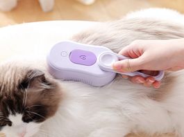 Dampfbürste Fliegende Haare für Katze & Hund Haustierbürste