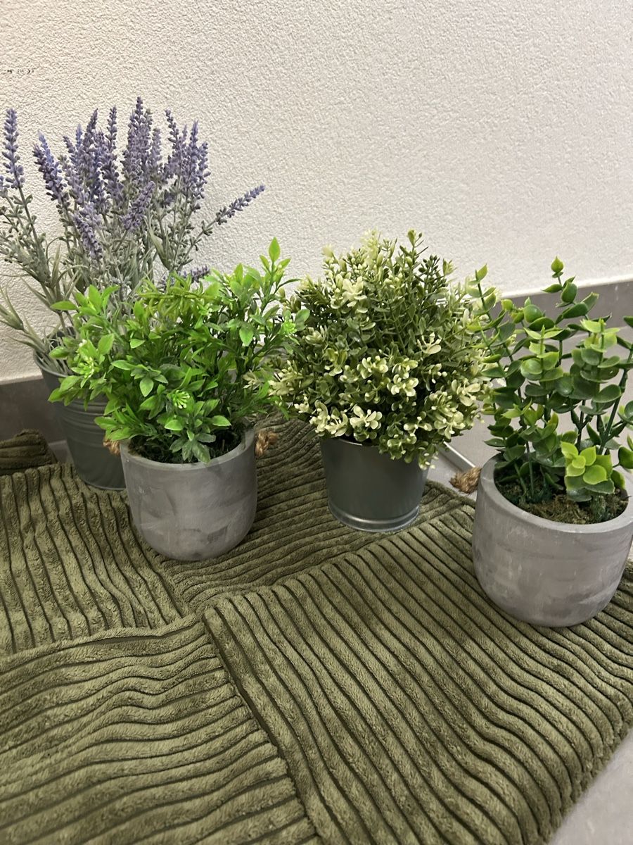 Alle Dekorationen: Deko plantes – Neu (gemäss Beschreibung) aus Perroy von MR6. 1