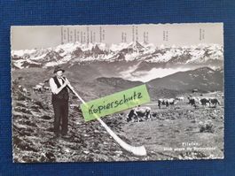 AK Alphornbläser Pilatus Luzern Alp Tiere Menschen Alphorn