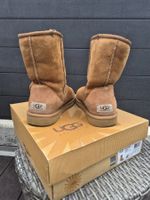 Bottines UGG Australian Classic Short Chestnut 39