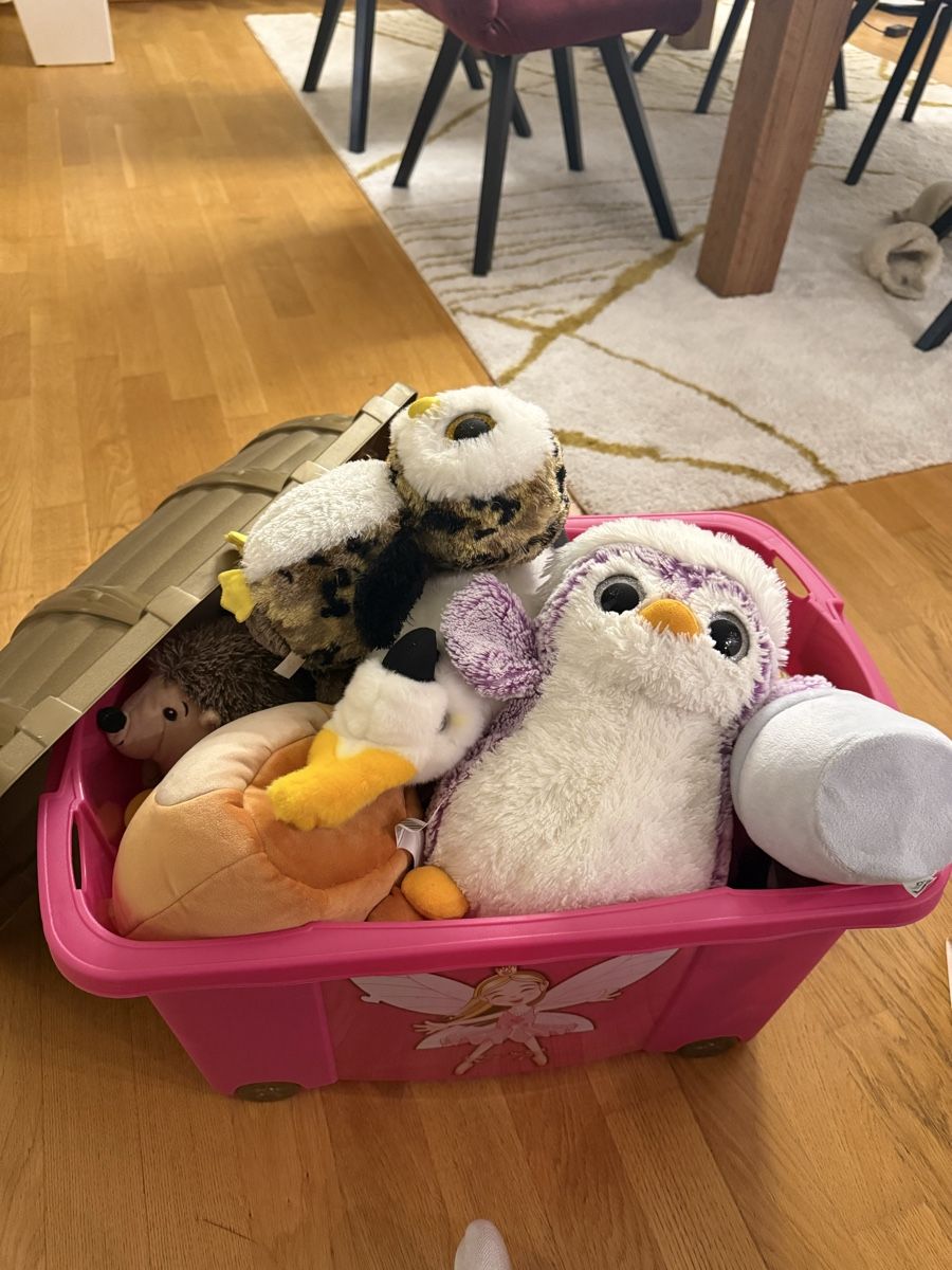 Giocattoli: Box with soft/cuddle toys – Usato da Hagendorn venduto da bara88 2