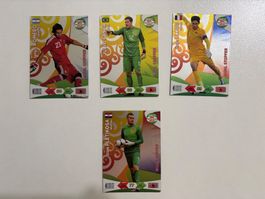Panini Road to 2014 FIFA World Cup Brazil - Goal Stopper