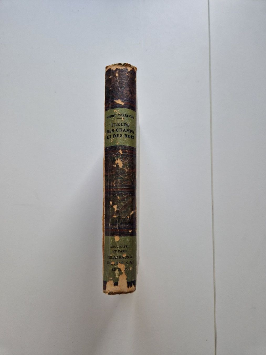 Libri: 1922 - Fleurs des champs et des bois – Usato da Fortunau (Ayent) venduto da le.baron 3