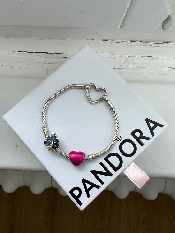 Pandora Charm Armband And 2 Charms Mit Garantie Kaufen Auf Ricardo