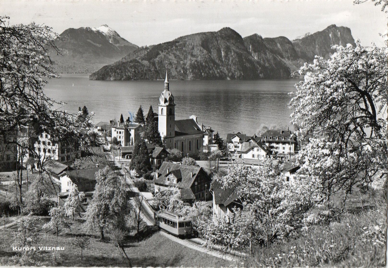 Cartoline postali: Vitznau – Usato da Melano venduto da pisonsdro