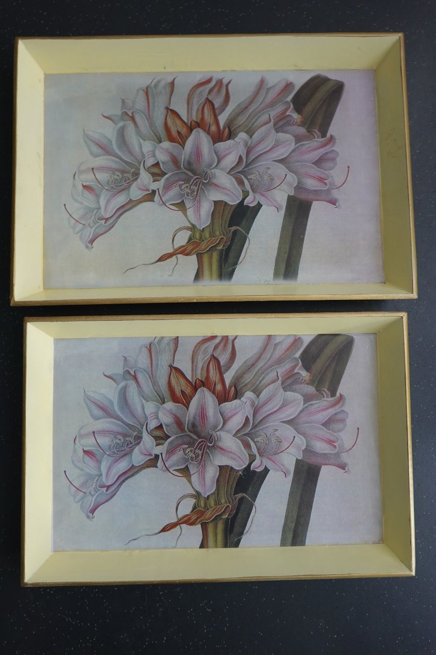 Servierplatten: 2x Tablett Serviertablett mit Blume Amaryllis NEU – Neu (gemäss Beschreibung) aus Jona von simongarden