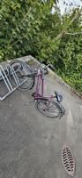 Bici donna marca Pulse viola con cestino posteriore usata