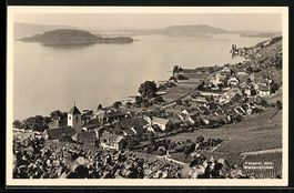 Twann, Teilansicht mit Petersinsel aus d