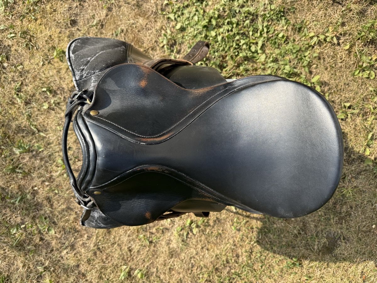 Sattel & Sattelzubehör: Sattel  – Gebraucht aus Beckenried von car_7d2w 3