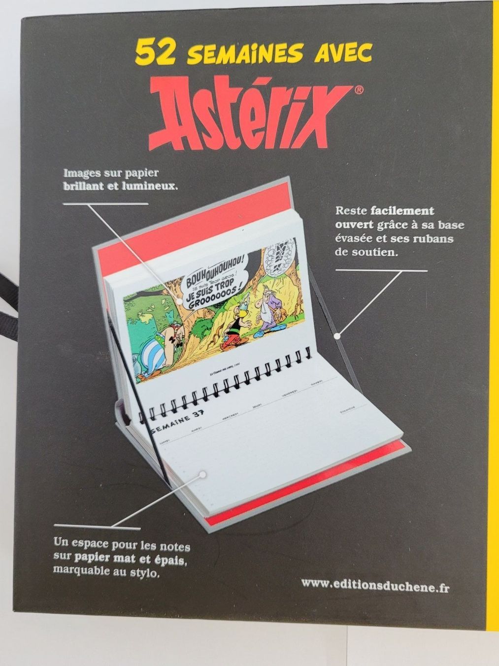 Calendari: ASTÉRIX - Calendrier Perpétuel 52 semaines – Usato da Payerne venduto da tintin08 3