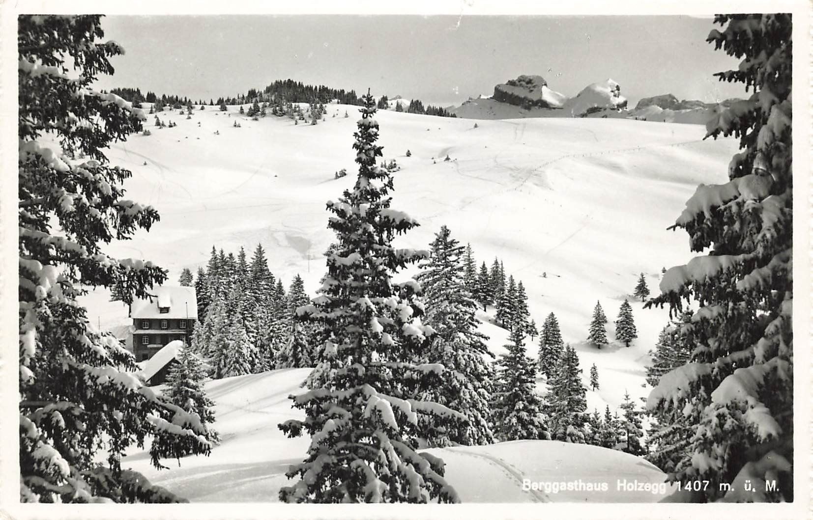 Cartoline postali: Berggasthaus Holzegg – Usato da Schwyz venduto da Seffi56