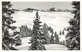 Berggasthaus Holzegg