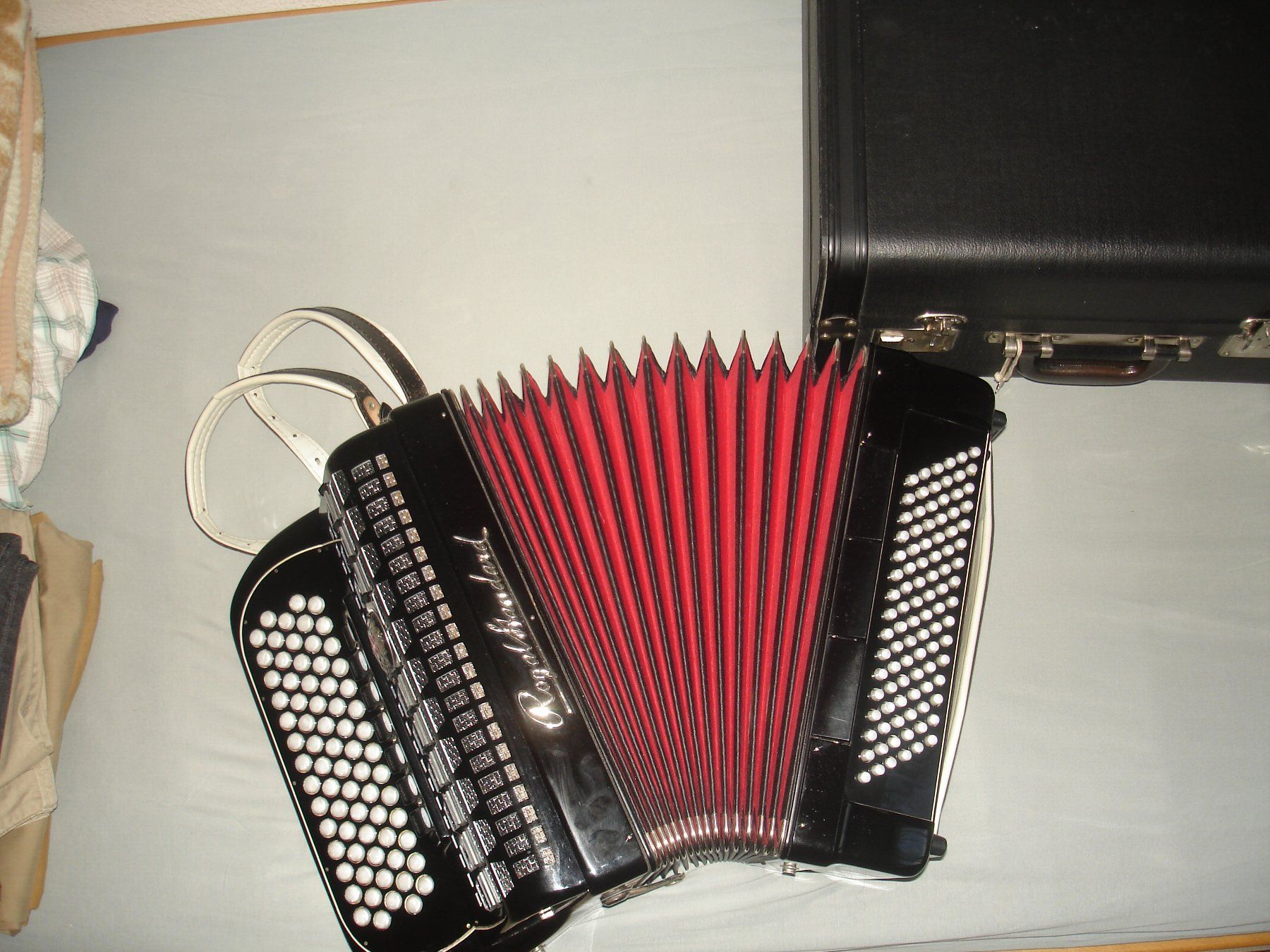 Strumenti musicali: ROYAL STANDARD AKKORDEON INKL KOFFER – Usato da Basel venduto da FirstClass4000 2