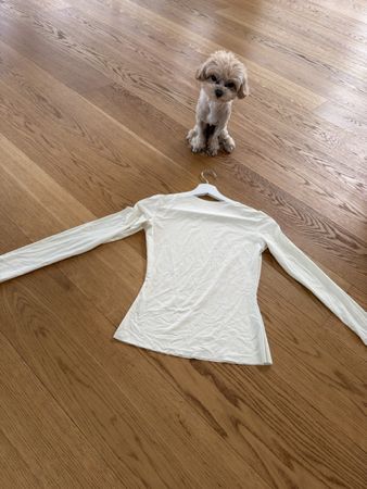 Cream Long Sleeve Top - wie skims 