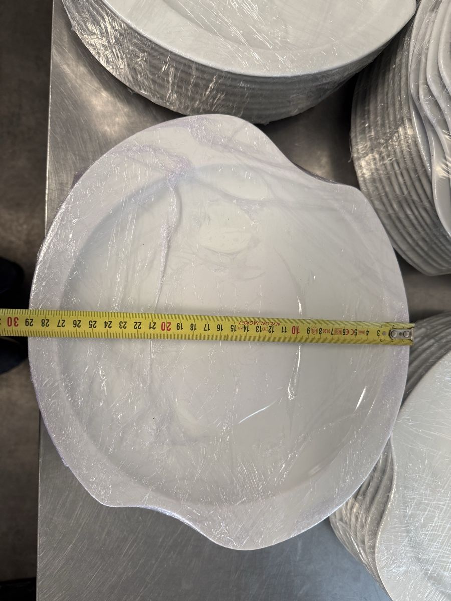Seltmann Piatti: Teller Seltmann Weiden 28 cm / 89 Stk. – Usato da Allenwinden venduto da Thebadboy 2