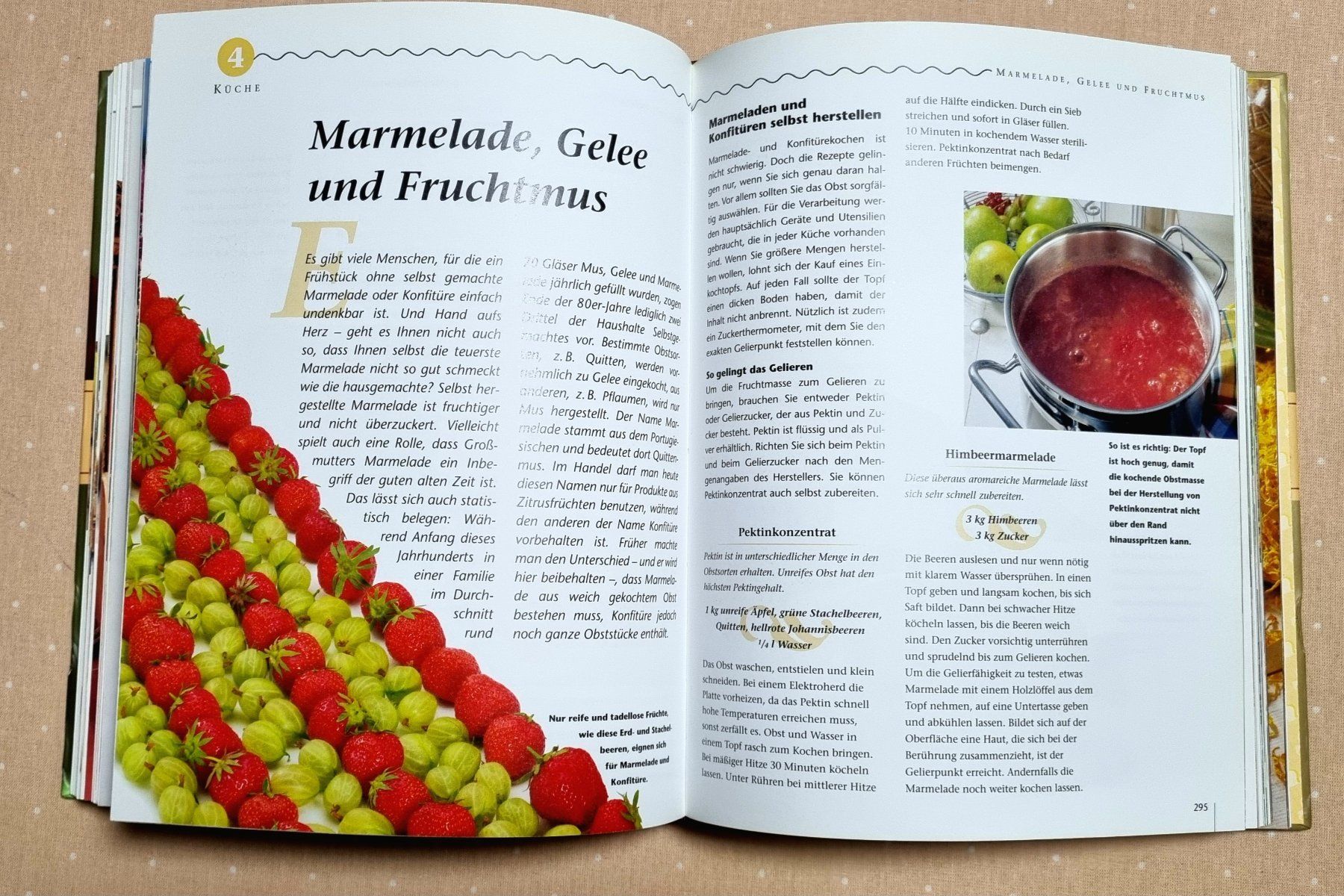 Libri: Grossmutters Hausmittel neu entdeckt Reader's Digest – Usato da Effretikon venduto da lenalisa63 2