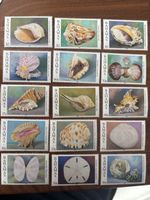 Bahamas Briefmarken Sammlung, 15 Stück, Muscheln Top Zustand