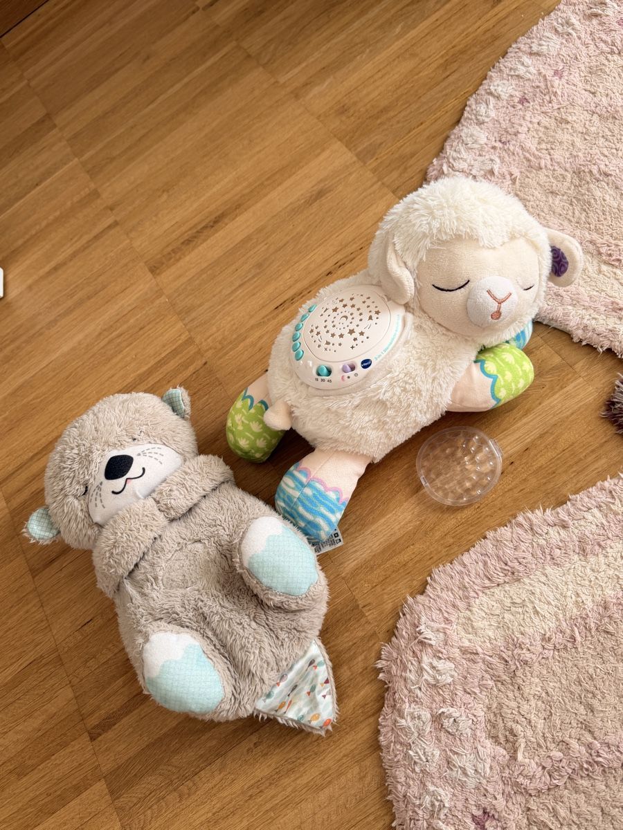 Vtech Giocattoli: VTech Einschlafhilfe Lamm und Schlummer Otter Set  – Usato da Oberengstringen venduto da SaGi19
