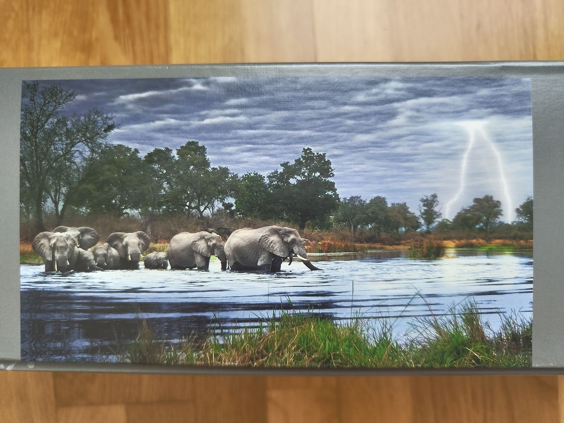 Heye Puzzles: Puzzle panorama 2000pcs Elephants – Gebraucht aus Fribourg von mcl_6kbj 1