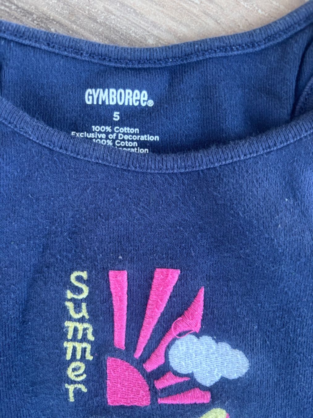 Camicette, T-shirt & Top: 110_Gymboree_reine Baumwolle – Usato da Versegeres venduto da kista 1