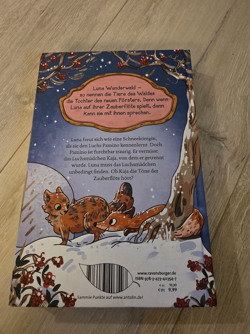 Libri: Luna Wunderwald Ein Luchs mit Liebeskummer  – Usato da Wigoltingen venduto da Zuckerfee84 1