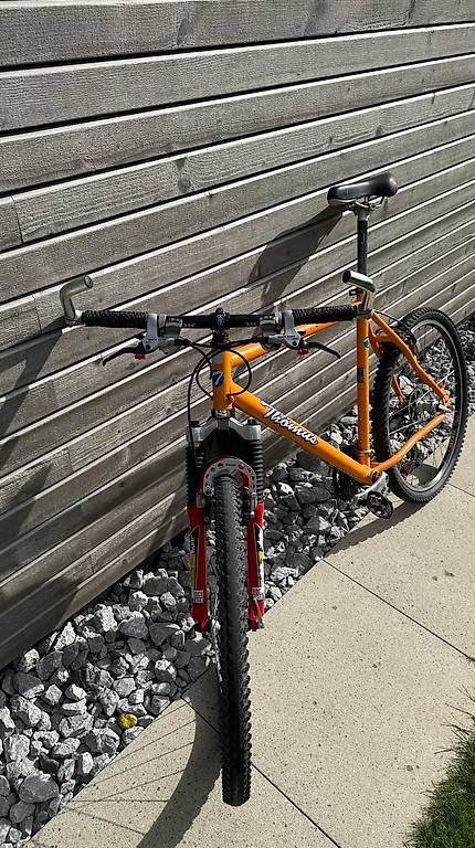 Thömus Velos: Thömus Tomcat Pro Mountainbike – Gebraucht aus Wichtrach von chrubischweiz 1