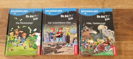 Buch Die drei ??? Kids- 2.Klasse