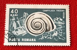 Briefmarke aus Rumänien gestempelt   ﻿ Siehe Original Fotos 