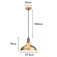 Lampes suspendues aspect rouillé vintage, industriel, loft