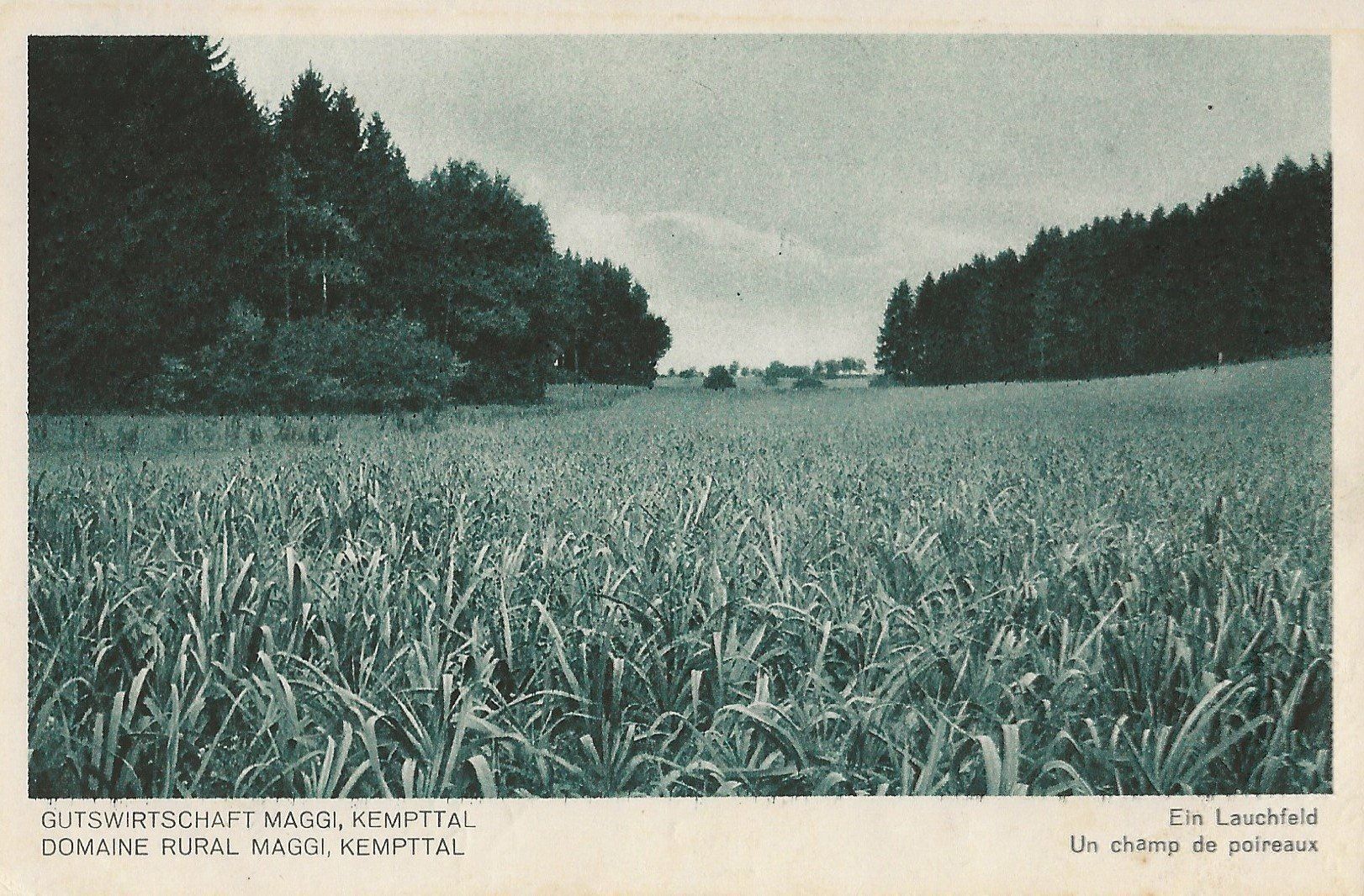 Cartoline postali: Kempttal,Maggi,Gutswirtschaft – Usato da Frauenfeld venduto da Merk52