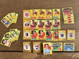 Panini WM26 123Stk.