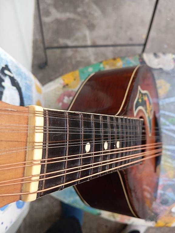 Strumenti musicali: 14 saitige Mandoline – Usato da Basel venduto da Petergunn 2