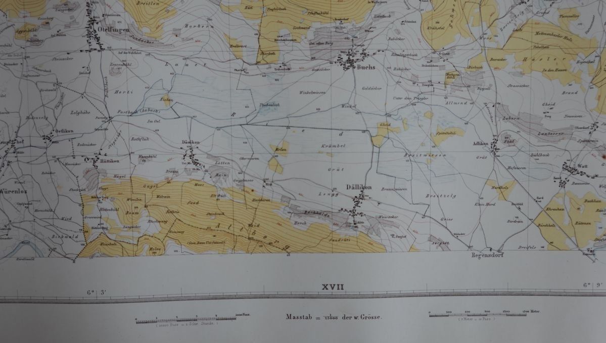 Cartine & Atlanti: Regensberg, Siegfriedkarte von 1881 – Nuovo (secondo la descrizione) da Dielsdorf venduto da bonambler 2