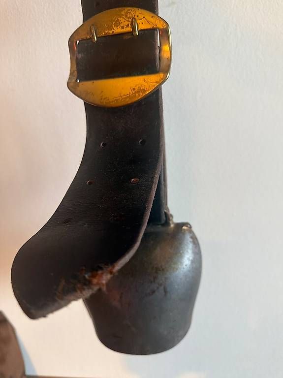 Campanacci mucche: Toupin de vaches occasion  – Usato da Preverenges venduto da mih_vqg5 2