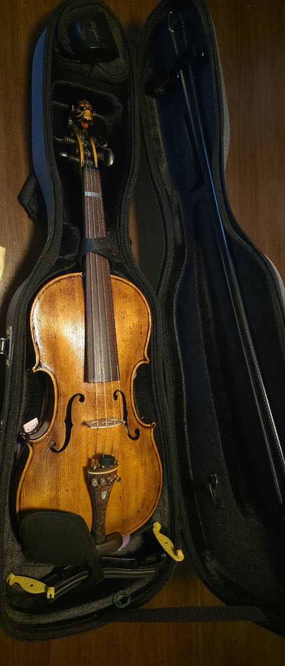 Strumenti musicali: Löwenkopf Top Set Violine 4/4 – Usato da Sarmenstorf venduto da -Advocatus-