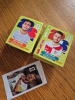 200 Panini Stickers  WM 2026