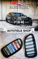 BMW F10 F11 F18 Nieren, M Doppelspeichen mit M5 Emblem 5 er