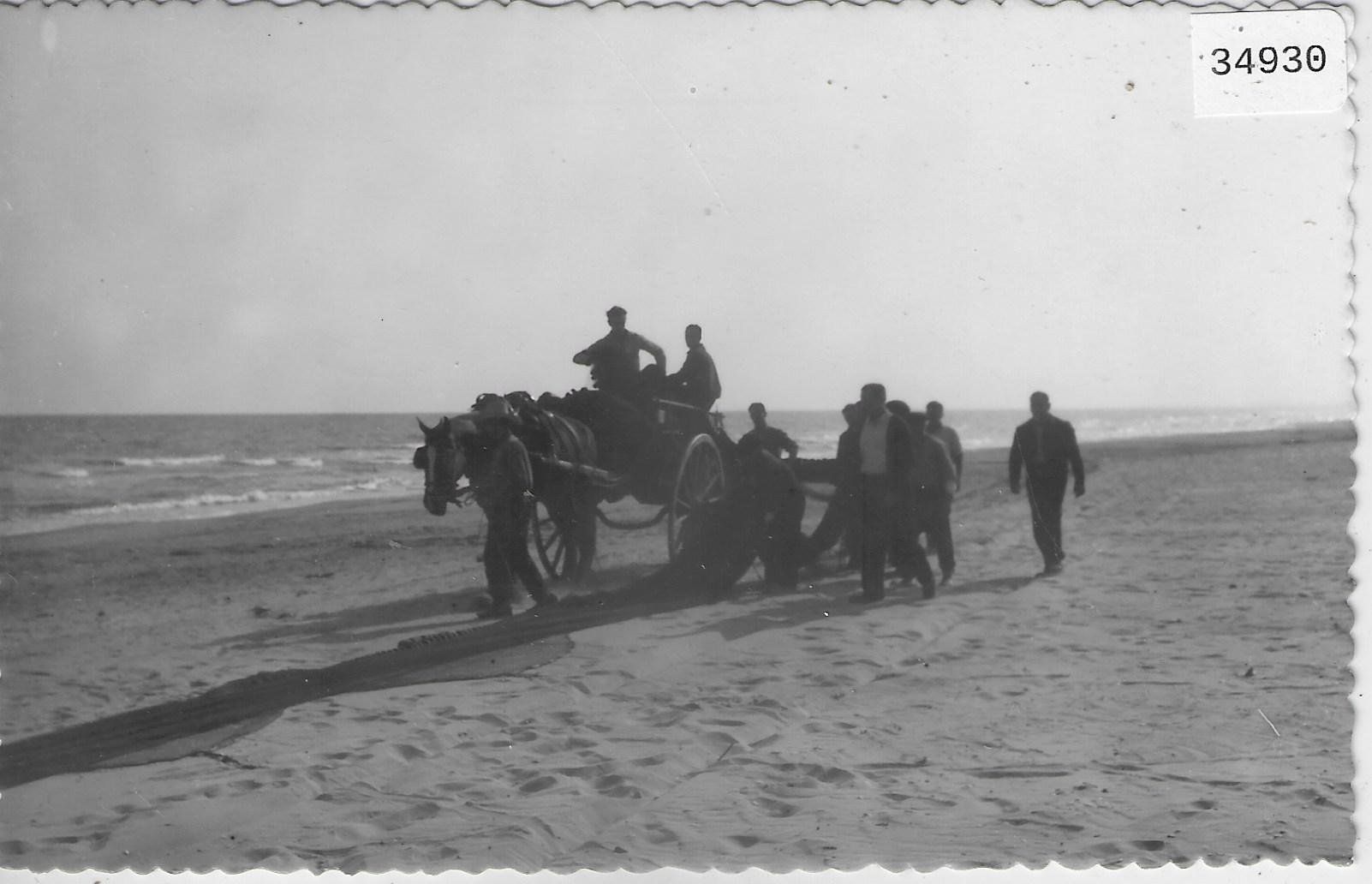 Cartoline postali: Pferdegespann an Meer in Spanien – Usato da Ettingen venduto da Kartenplanet