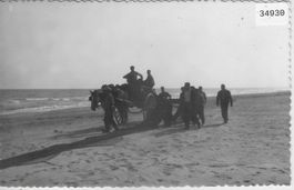 Pferdegespann an Meer in Spanien