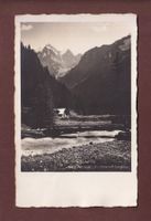 Weisse LÜTSCHINE - Jungfrau