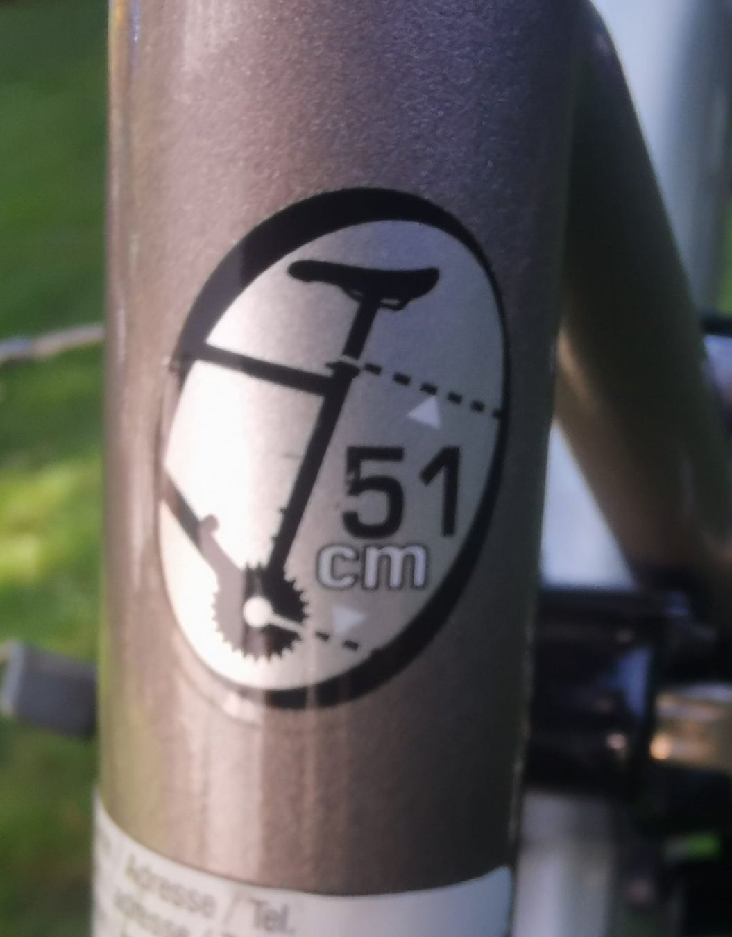Biciclette: City Bike Damen – Usato da Wattwil venduto da Guggeli1 4