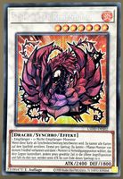 Yugioh Schwarzer Rosendrache Alt Artwork Secret Rare