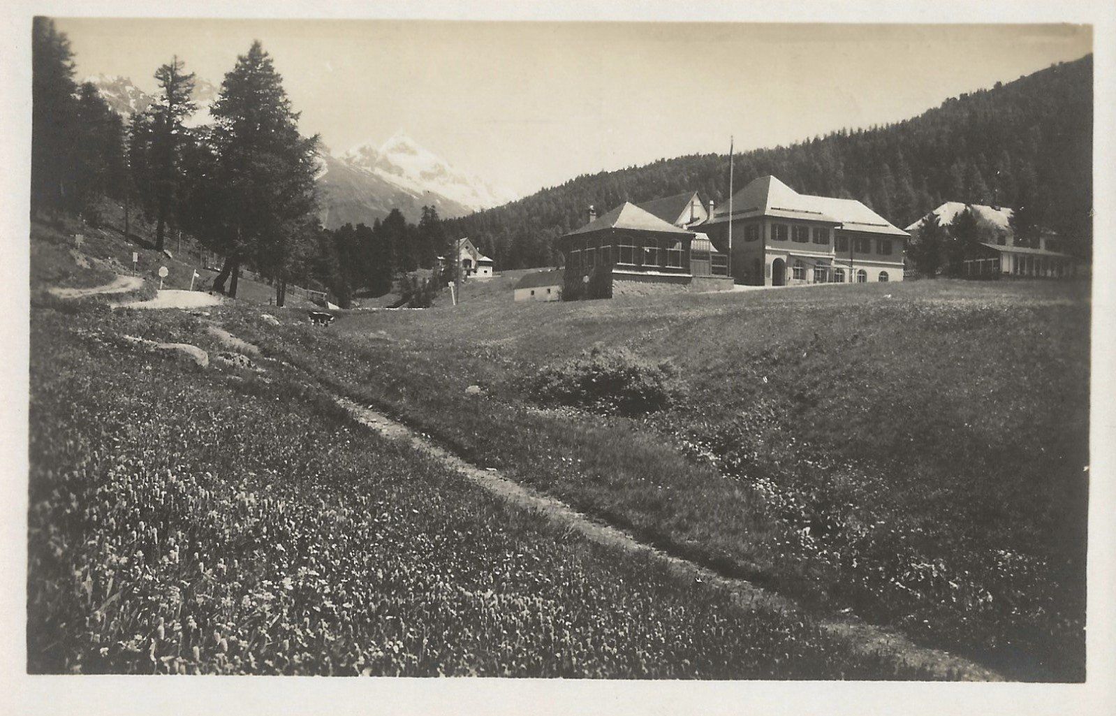 Cartes postales: Meierei bei St. Moritz – D'occasion à Frauenfeld par Merk52