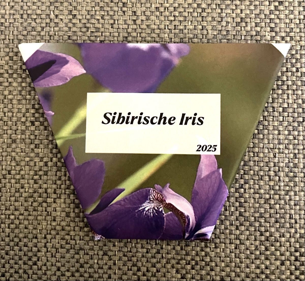 Piante & sementi: Sibirische Iris Samen – Nuovo (secondo la descrizione) da St.Gallen venduto da Thh7