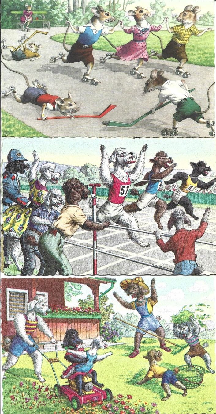 Cartes postales: AK Katzen /Hunde/Mäuse  Humor – D'occasion à Appenzell par mai25 1
