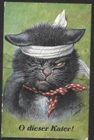 Katzenkarte Künstlerkarte Arth. Thiele "O dieser Kater"