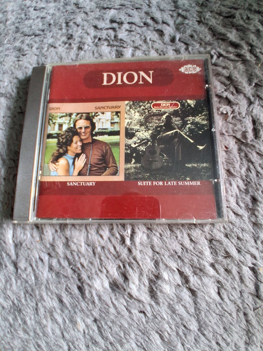 CD: DION      SANCTUARY    /     SUITE FOR LATE SUMMER      CD – Usato da Wetzikon ZH venduto da Ramones01