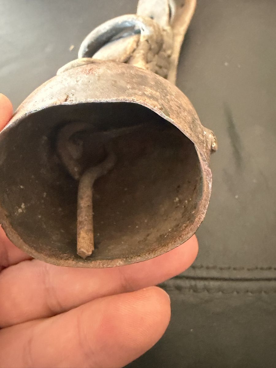 Campanacci mucche: Glocke  – Usato da Baden venduto da noli.r 2